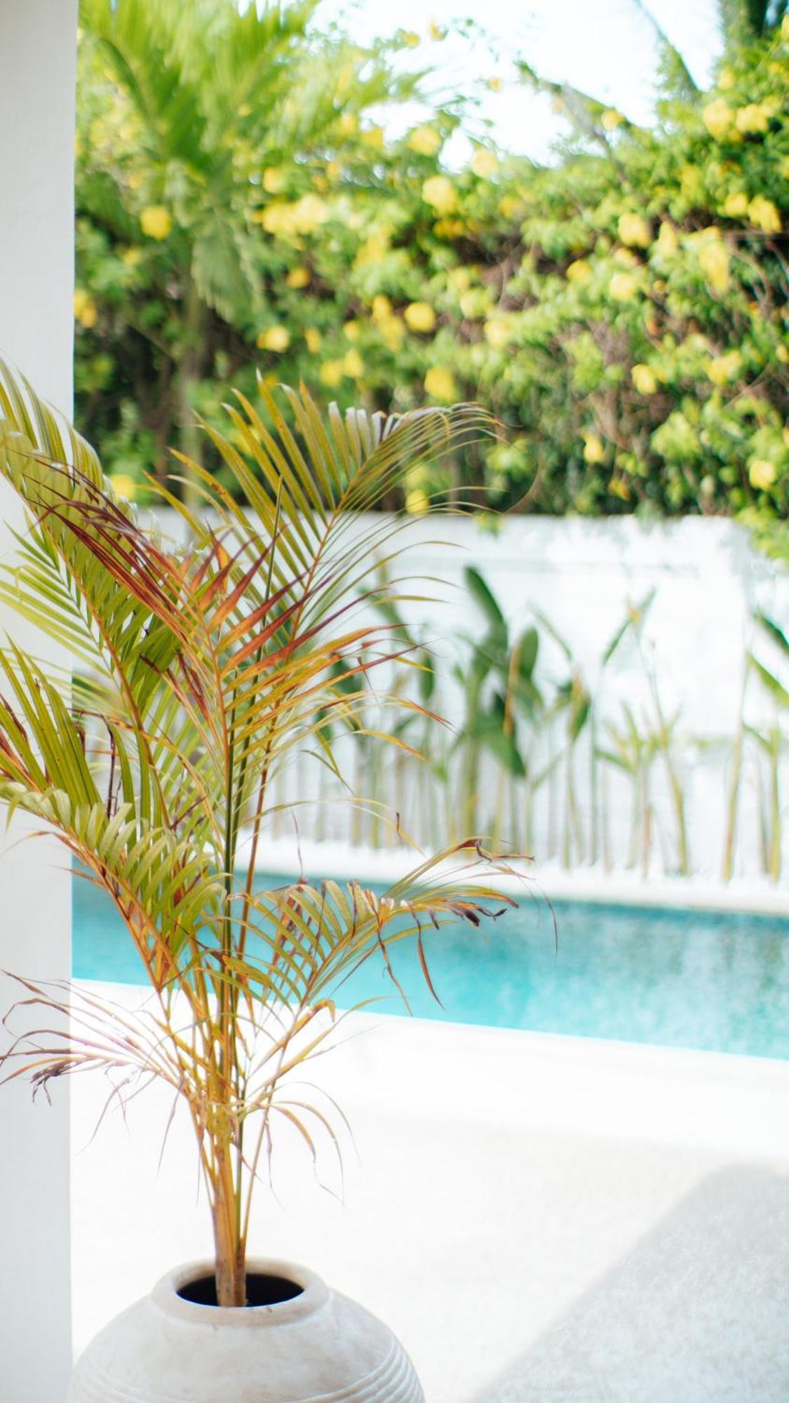 The White Bay Lombok Apartamento Kuta  Exterior foto